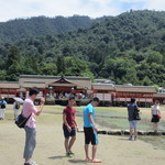 藤い屋 - この日は社員と２人で宮島へ、厳島神社を観光し食事を終わらせた後に本社のお土産にもみじ饅頭を買おうとウロウロ。
