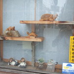 うどん　かめや - 