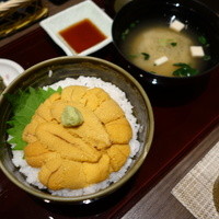 函館うに むらかみ 日本生命札幌ビル店 - 無添加生うに丼
