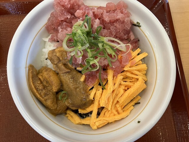 Naka U Toyokawa Minamiodori Ten - Ushikubo/Gyu-don (Beef