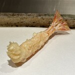 日本橋 蕎ノ字 - 車海老