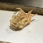 日本橋 蕎ノ字 - 頭　二尾　塩