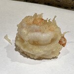 日本橋 蕎ノ字 - 背開き