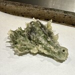 日本橋 蕎ノ字 - 天然山菜　タラの芽