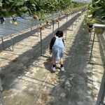 まるおファーム - 