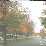 Seattle's Best Coffee (Sea Tac Airport Concourse D) - 