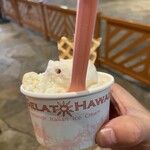 IL GELATO HAWAII - 