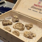 ア・ニュ Shohei Shimono - 