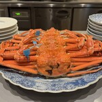 ア・ニュ Shohei Shimono - 