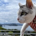 淡路島南パーキングエリア上り ショッピングコーナー - 展望台