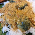 the MANDA - 鰯のカレー
