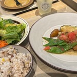 ビタレーザ キッチン - 