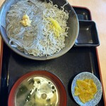 マイアミ貝新 - 