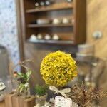 ラ ヴィーユ ～都～ - 