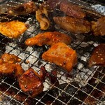 炭火ホルモン焼肉 ひゃくてん 溝の口 - 