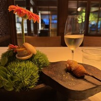 タケル クインディチ(LOQUAT) 西伊豆 - 