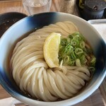 udon noodles 麺候 - 