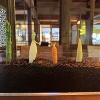 タケル クインディチ(LOQUAT) 西伊豆 -  タケル クインディチ(LOQUAT) 西伊豆 -