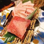 焼肉ホルモン酒場 陽真 - 