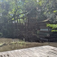 浮月楼 - 