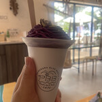 PAINAGAMA BLUEBOOTH - 