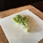 たでの葉 - コシアブラ