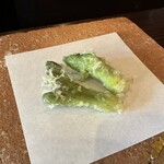 たでの葉 - タラの芽