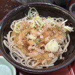 うどん坊 山むろ - おろしと薬味をかけたらこんな感じ。