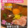 Una Miyabi - 
