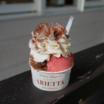 ARIETTA del gelato