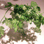 レストラン コバヤシ - コリアンダー