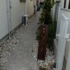 喫茶 ソマ - 