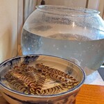 日本料理 別府 廣門 - まだ生きています