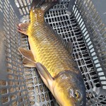 湖南人家 - 20250417鯉魚