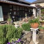 にんじん木 - 