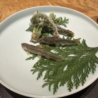 乃木坂 しん - 