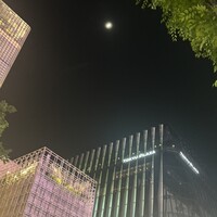 フカヒレ専門店 銀座七芳 - 