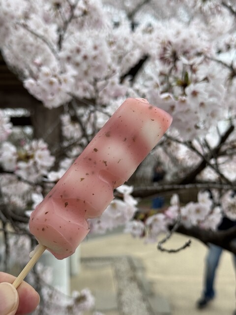 天空カフェ - 船岡（甘味処）