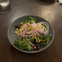 THE CONDER HOUSE -  THE CONDER HOUSE -