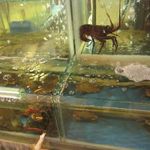 春梅子餐廳 - 水槽