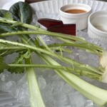 サンクスネイチャー - 