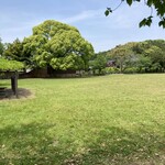 おおぐま食堂 - 運動場がこんなになってた