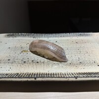 鮨 西崎 - 