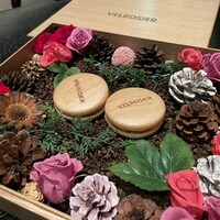 VELROSIER - 