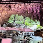 ガンガラーの谷　ケイブカフェ - 