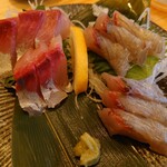 Irodori - Assorted Sashimi