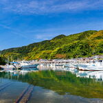 浜のかきあげや - 由比漁港