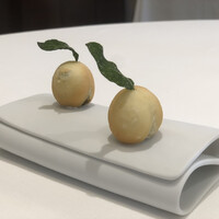 Ristorante YAMAZAKI - 