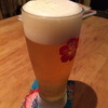 海と空 ハイビスカス食堂 木屋町店