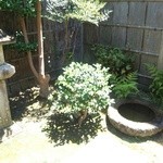 玄 - 暖簾の先には灯篭と蹲が